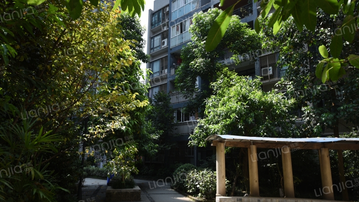 凤凰小区外景图