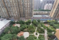金世纪·新城户型图实景图