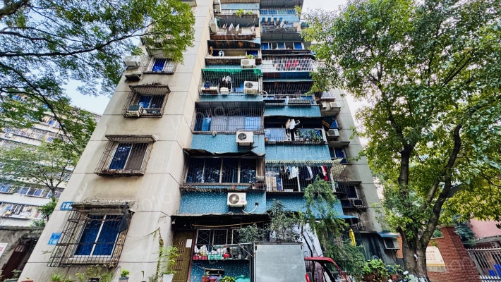 石坪桥横街6号外景图