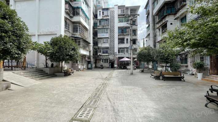 大营路42号外景图