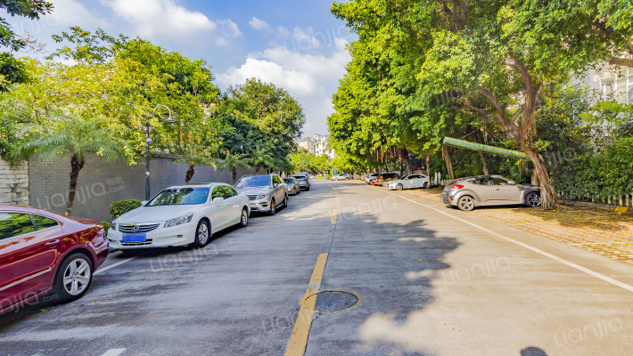 碧桂花城（东区）外景图