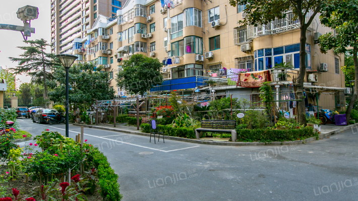 梅花新村(花木)外景图