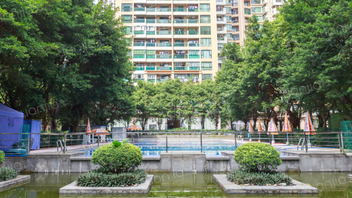 协和新世界外景图