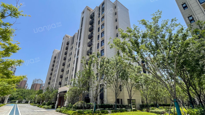 星河钟山盛世外景图