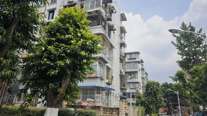 交通管理学校教师宿舍外景图