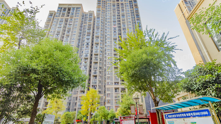 跃进家园B区外景图