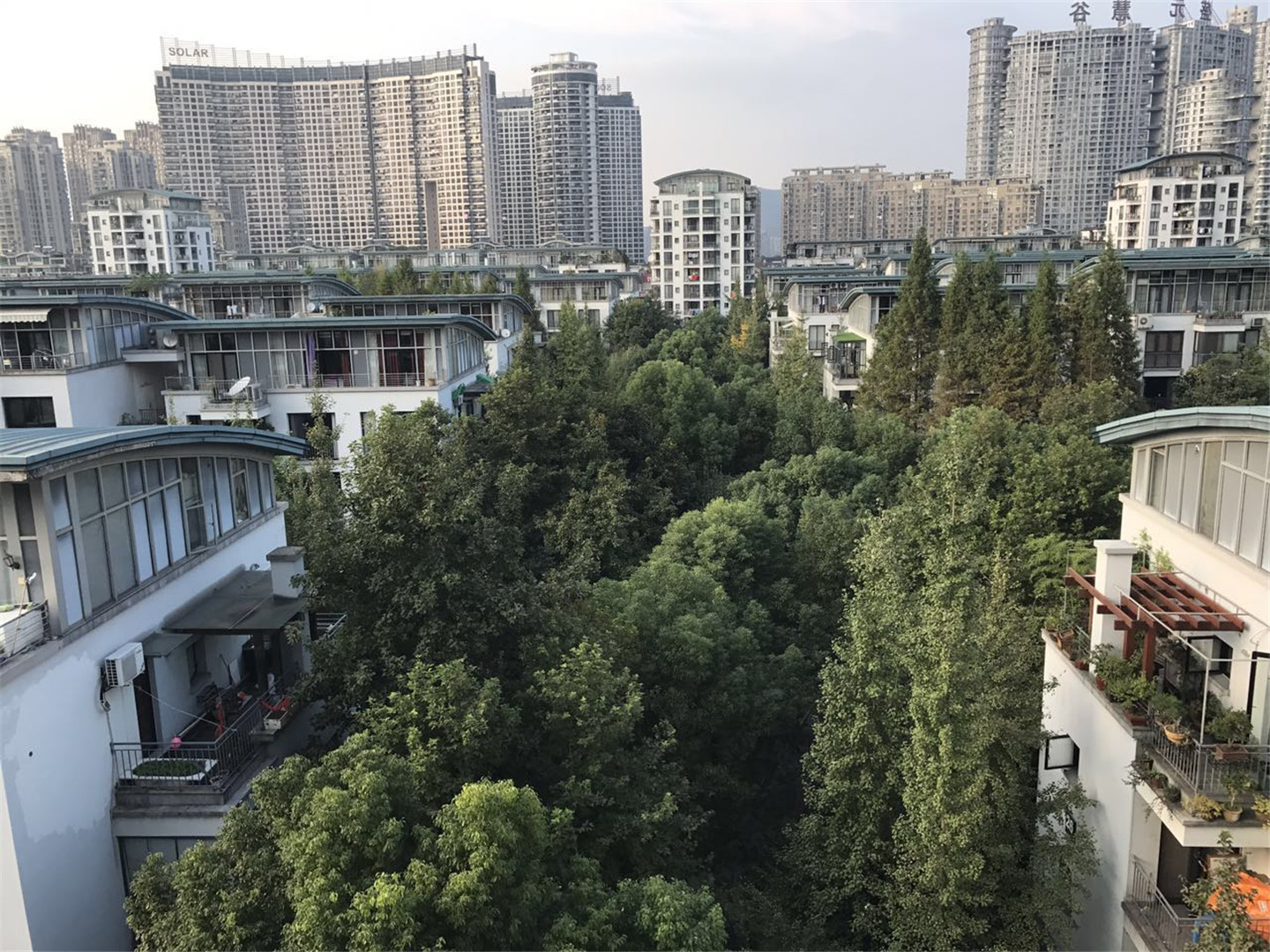 江滨花园小区实景 12