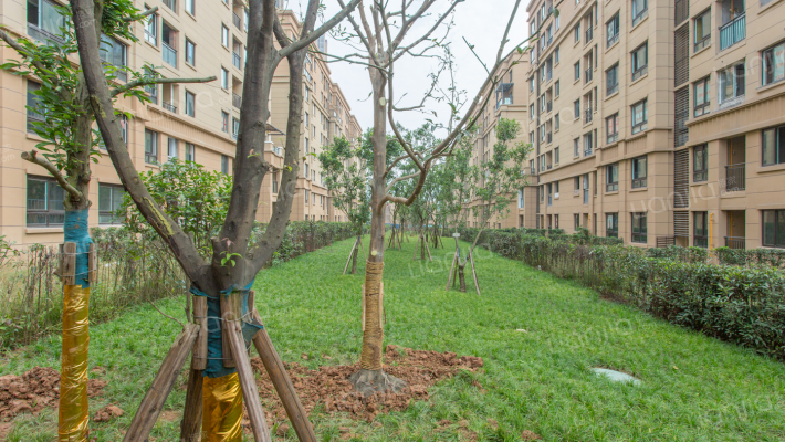 凤城华府二期外景图