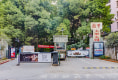 圆梦美丽家园户型图实景图