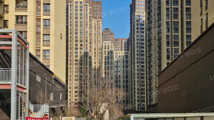 南飞鸿十年城外景图