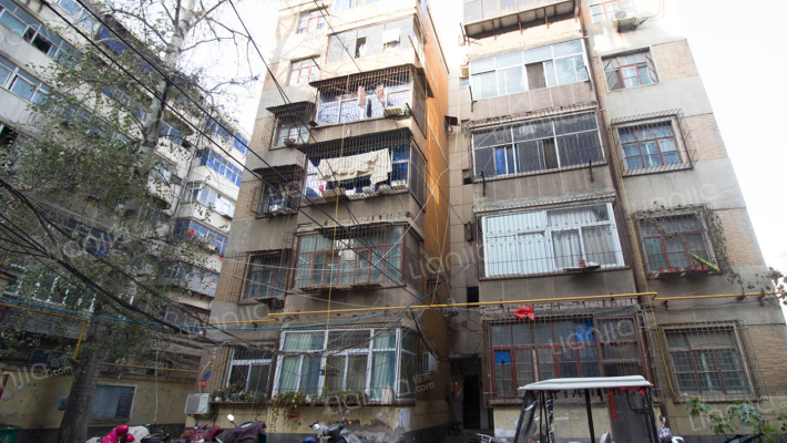 新兴街小赵寨村外景图