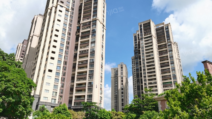 中洲央筑花园外景图