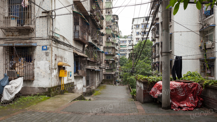 花卉西路外景图