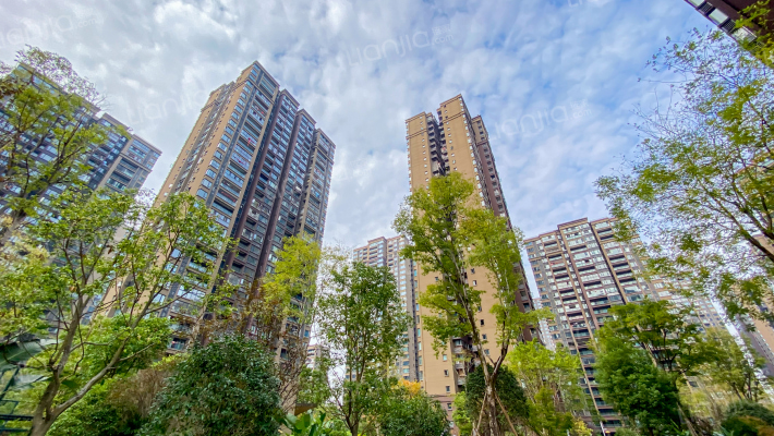 东林道一二期外景图