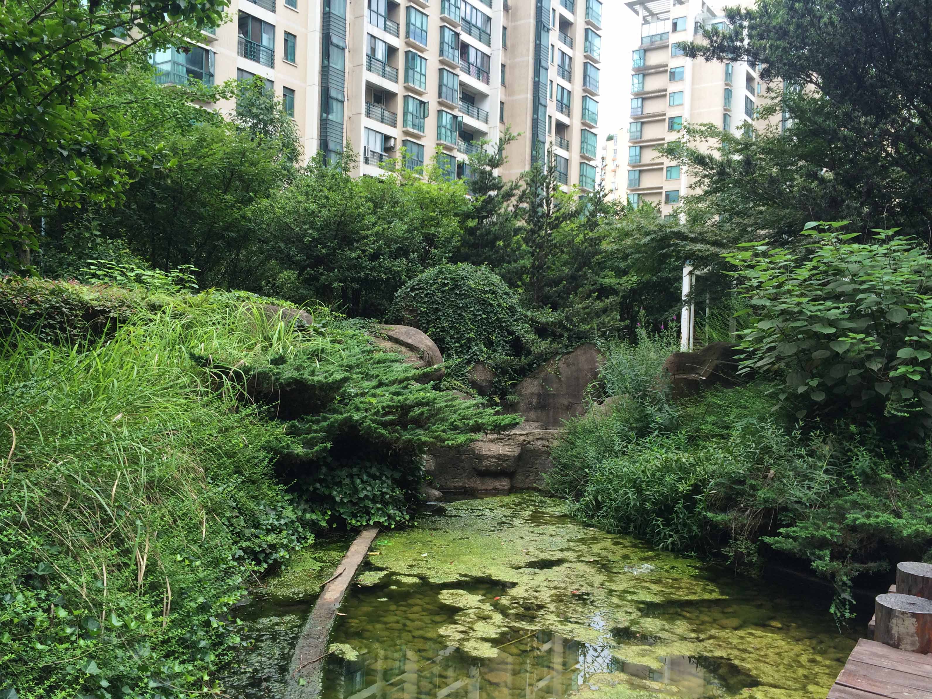 钱塘春晓小区实景 9