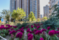 鸿业兴园二区户型图实景图