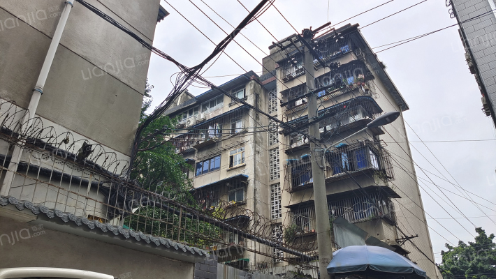 卫民巷16号外景图