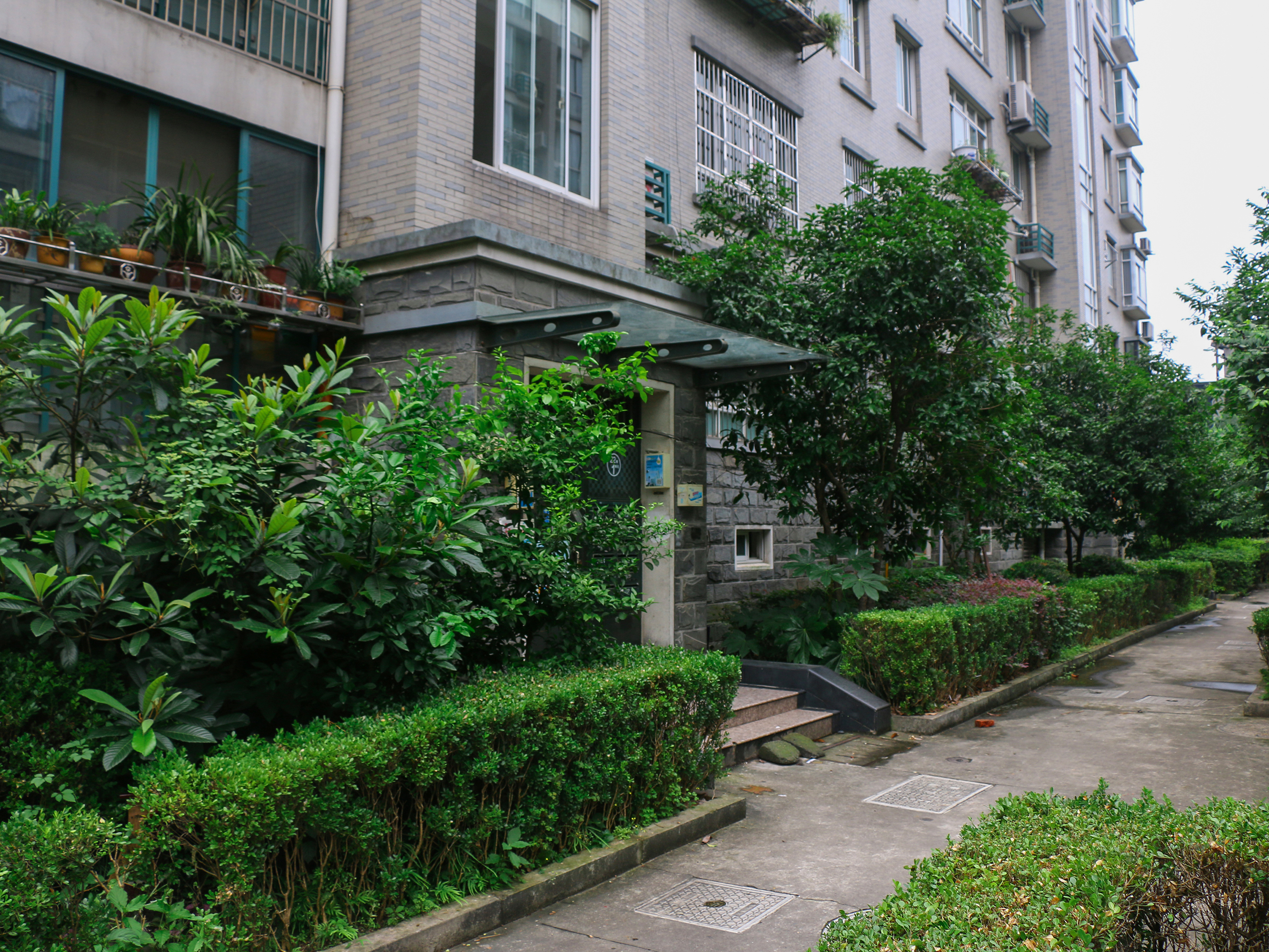 天成嘉苑小区实景 18