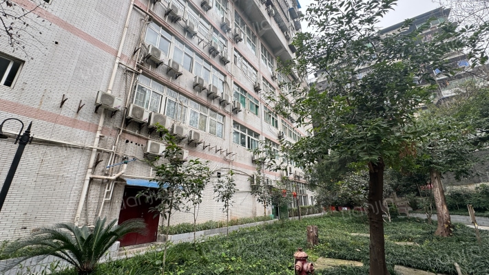 三院集资房外景图