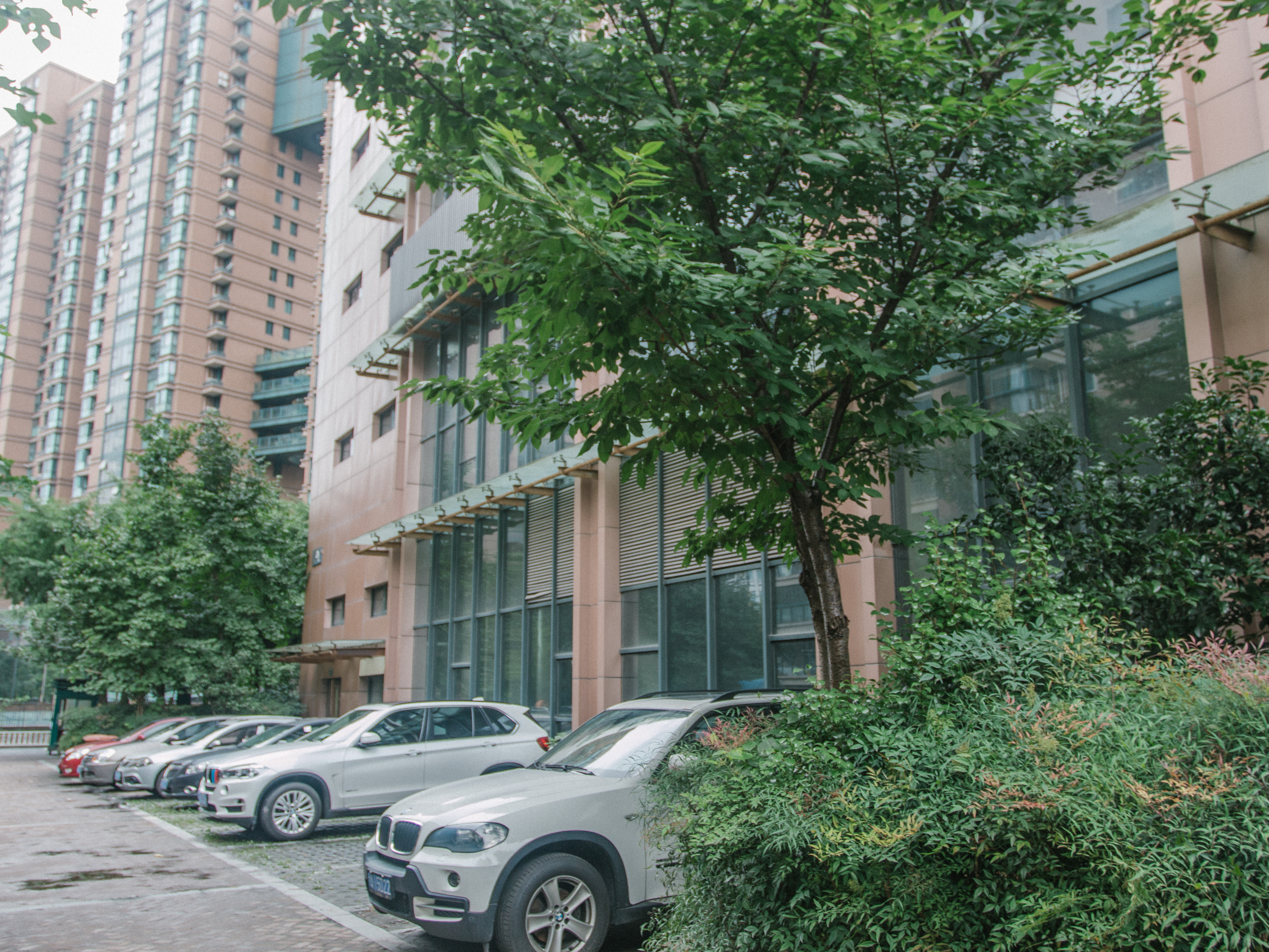绿洲花园小区实景 17