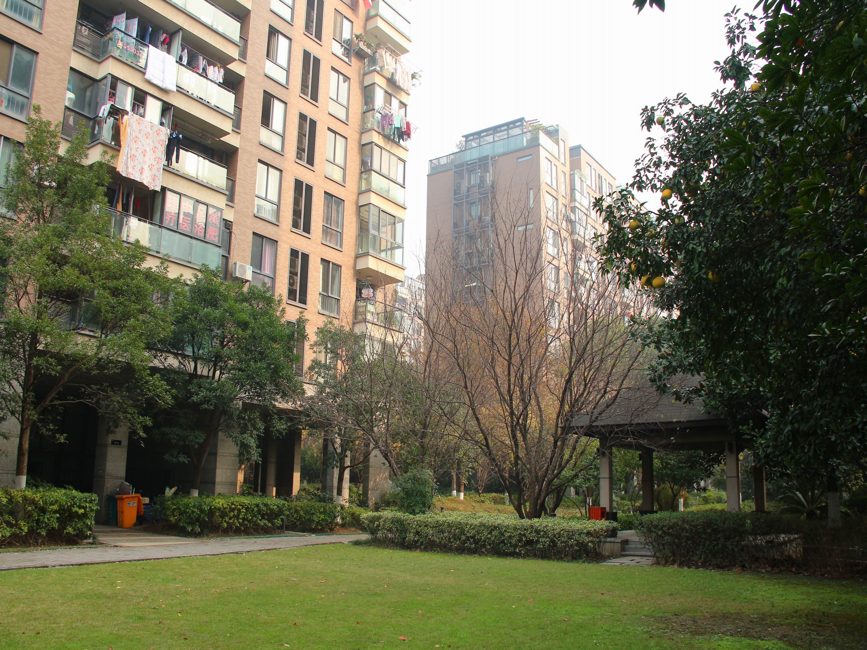 New Century City compound photo 24