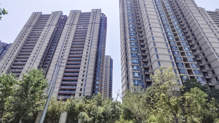 蓝光公园1号外景图