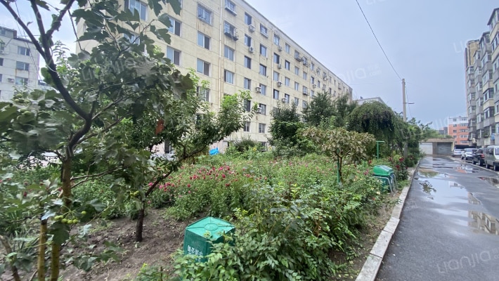 红光小区外景图