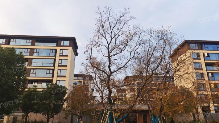 北湖揽樾外景图