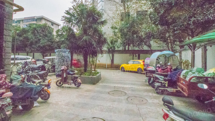 丽苑小区外景图