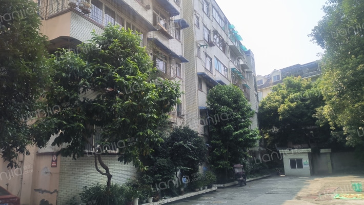 玉带苑(玉带新街)外景图