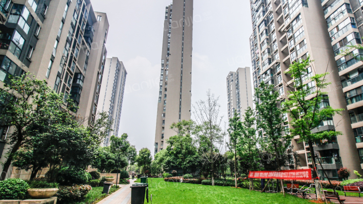 当代国际城外景图