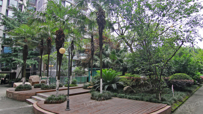 双楠映象外景图