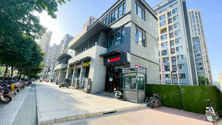 曲江城市树外景图