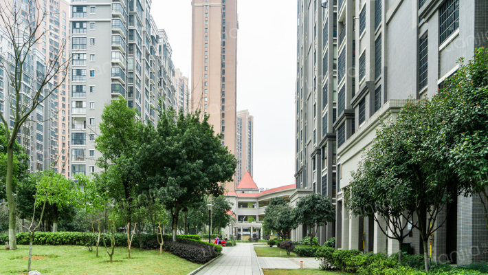 丰源国际外景图