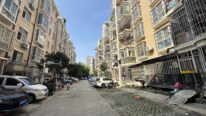 将军梧桐树下工薪小区外景图