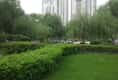 丽湾国际户型图实景图