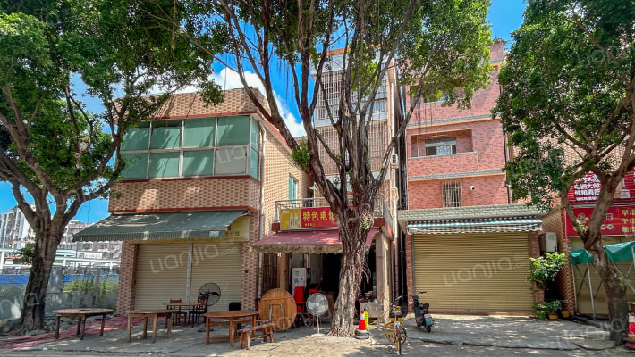 大良单家新松居委会外景图