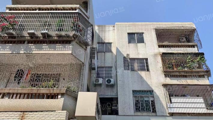 松岗大道外景图