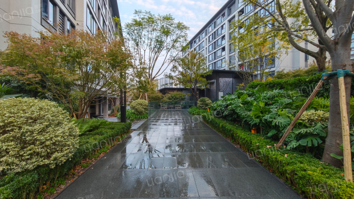 绿城春月锦庐外景图