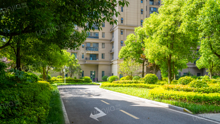 碧桂园凤凰城临湖苑外景图