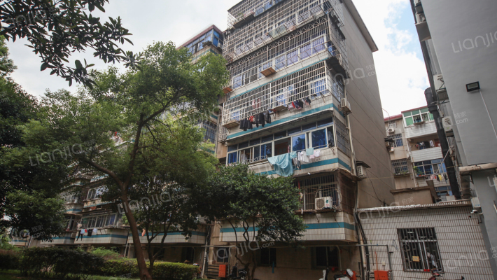 新建县供电局宿舍外景图