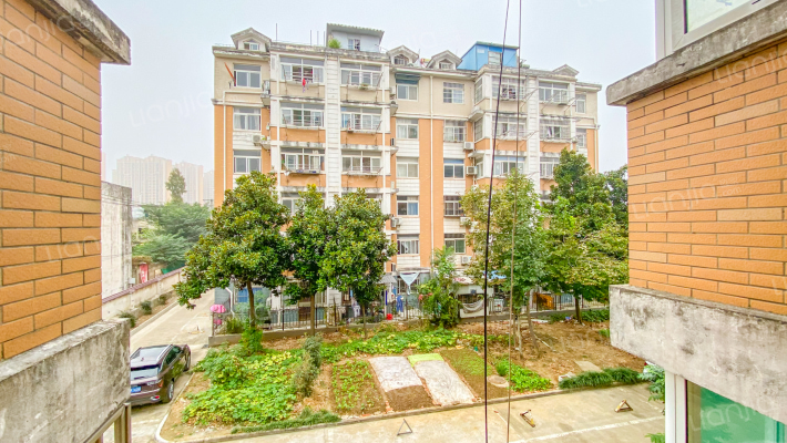 粮油小区外景图