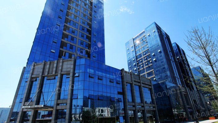 盛大国际外景图