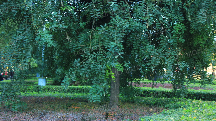 四中家属院外景图