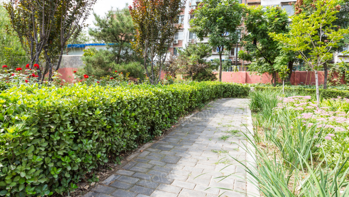 金顶街59号院外景图