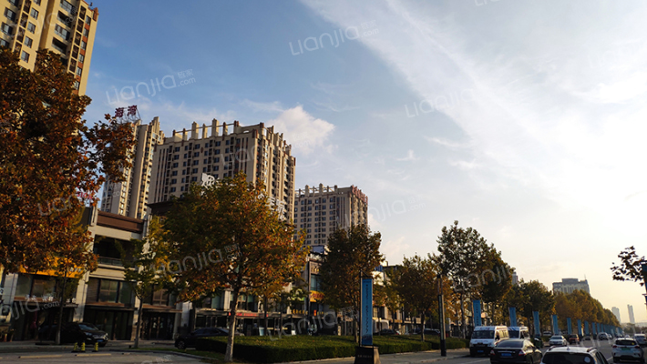 龙湖时代星河外景图