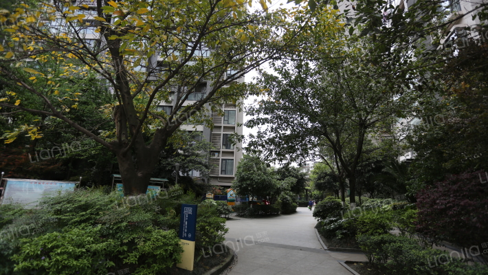 远光水印城外景图