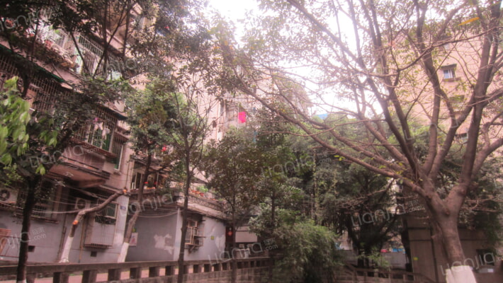 花园三村外景图