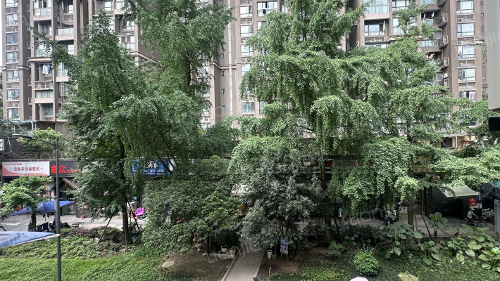 包家巷77号外景图