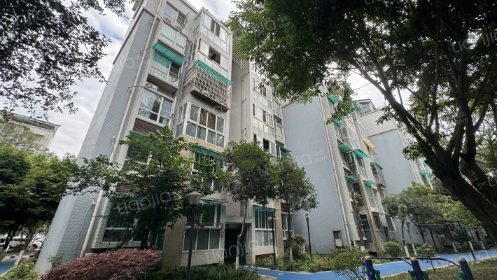 纯阳雅庭外景图